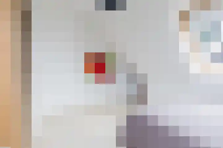 Dille 25 Gorredijk thumbnail 77