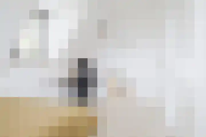 Dille 25 Gorredijk thumbnail 79