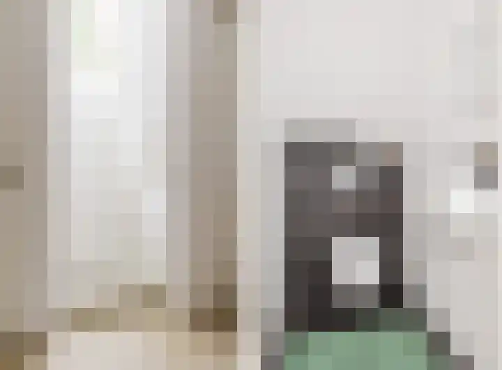 Dille 25 Gorredijk thumbnail 80