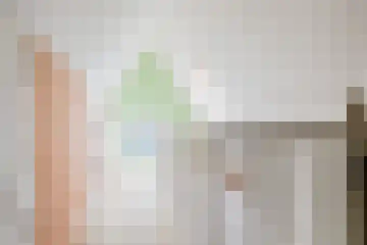 Dille 25 Gorredijk thumbnail 81