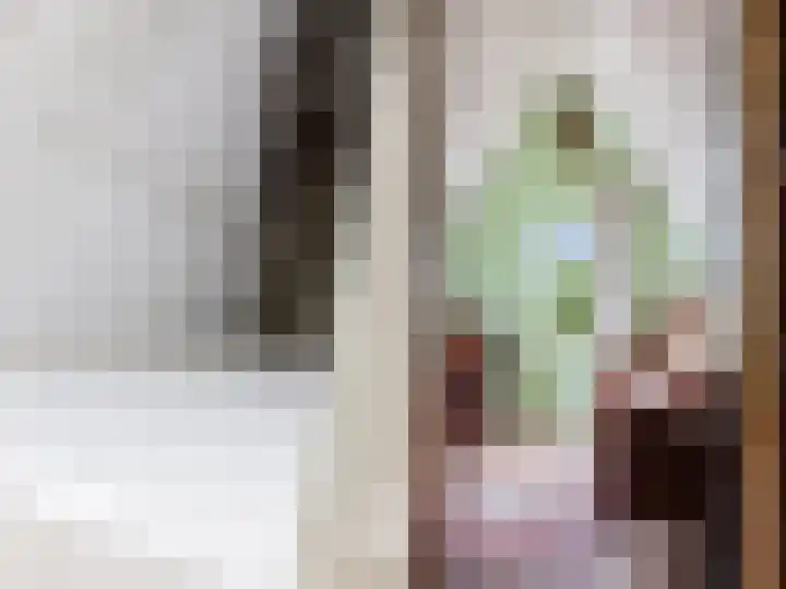 Dille 25 Gorredijk thumbnail 83