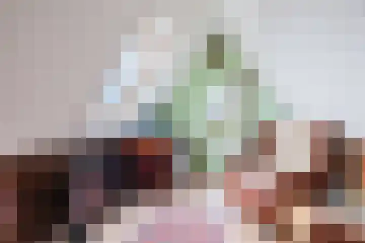 Dille 25 Gorredijk thumbnail 84