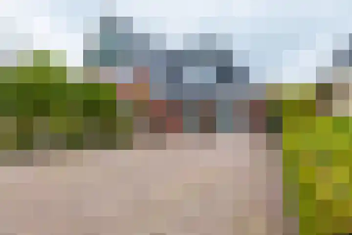 Dille 25 Gorredijk thumbnail 9
