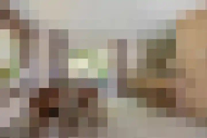 Dille 29 Nijverdal thumbnail 6