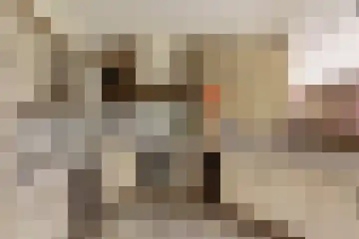 Dille 29 Nijverdal thumbnail 9