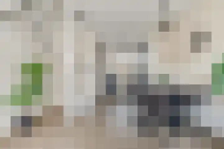 Dille 58 Asten thumbnail 15