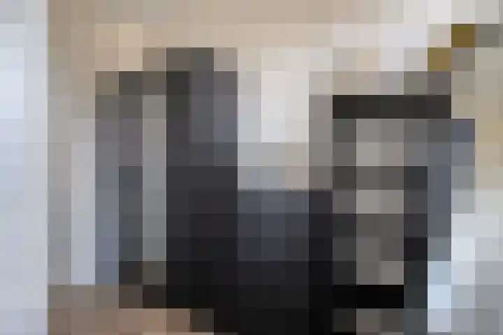 Dille 58 Asten thumbnail 26
