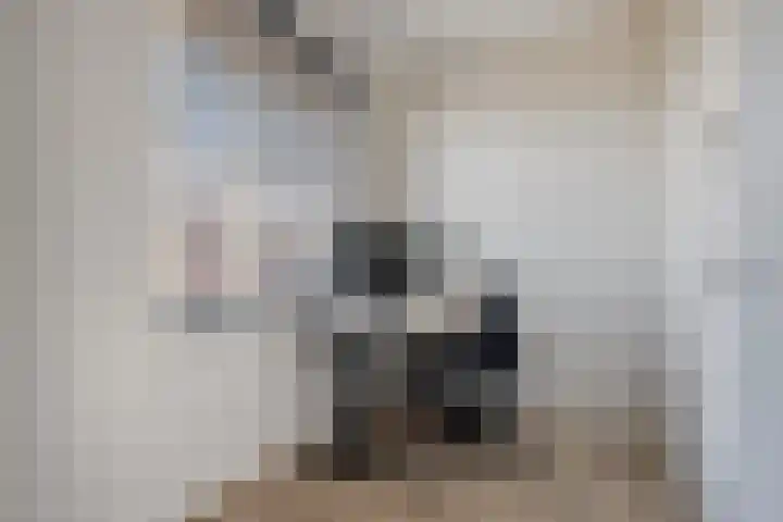 Dille 58 Asten thumbnail 28