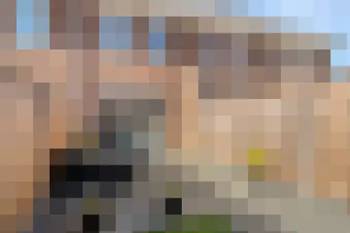 Dille 58 Asten thumbnail 31