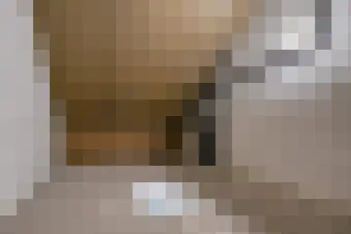 Dille 58 Asten thumbnail 32