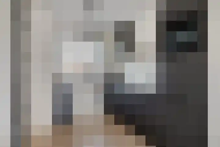 Dille 58 Asten thumbnail 4