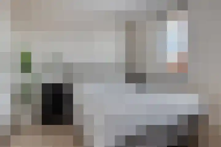 Dille 58 Asten thumbnail 5