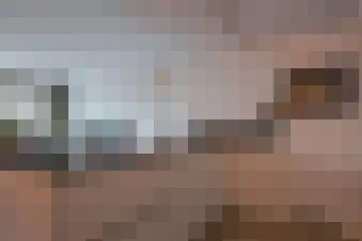 Dillegaard 245 Heerlen thumbnail 21