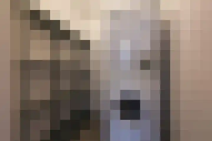 Dillegaard 245 Heerlen thumbnail 28