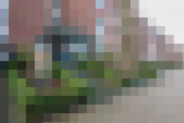 Dillegaard 245 Heerlen thumbnail 5