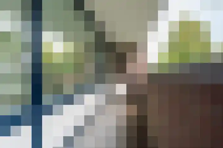 Dillegaard 65 Heerlen thumbnail 18
