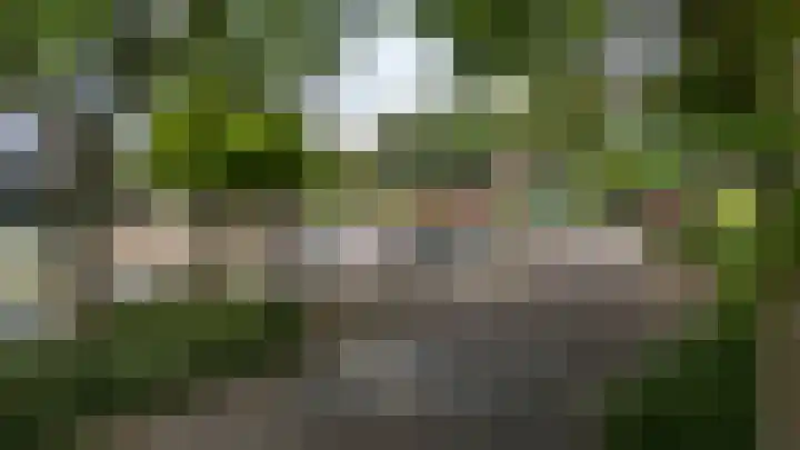 Dillegaard 65 Heerlen thumbnail 26