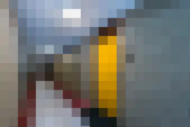 Dillegaard 65 Heerlen thumbnail 8