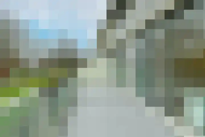 Dillenburg 244 Doorwerth thumbnail 16