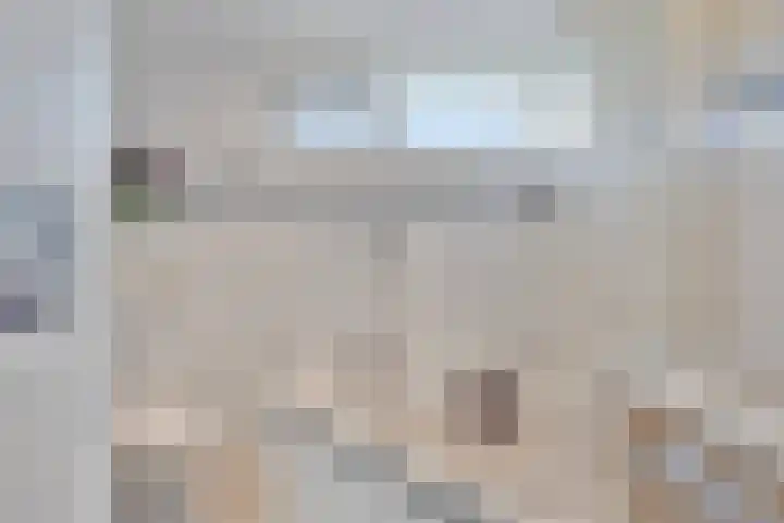 Dillenburglaan 12 Goes thumbnail 20