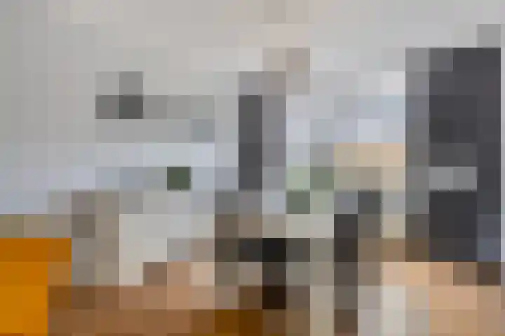 Dillenburglaan 12 Goes thumbnail 9