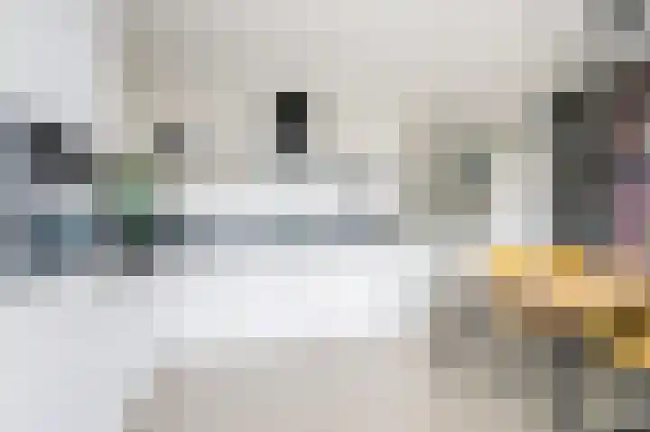 Dillenburglaan 3 B Heiligerlee thumbnail 17