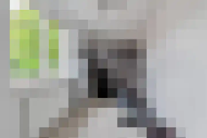 Dillenburglaan 3 B Heiligerlee thumbnail 24