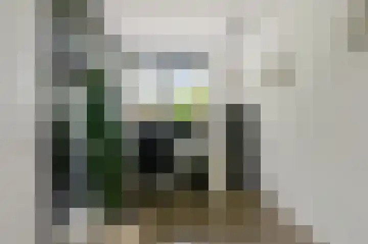 Dillenburglaan 3 B Heiligerlee thumbnail 26