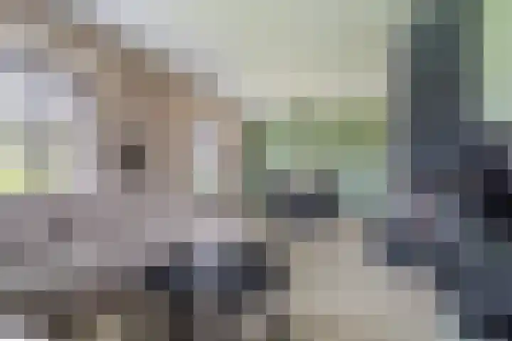 Dillenburglaan 30 Heiligerlee thumbnail 15