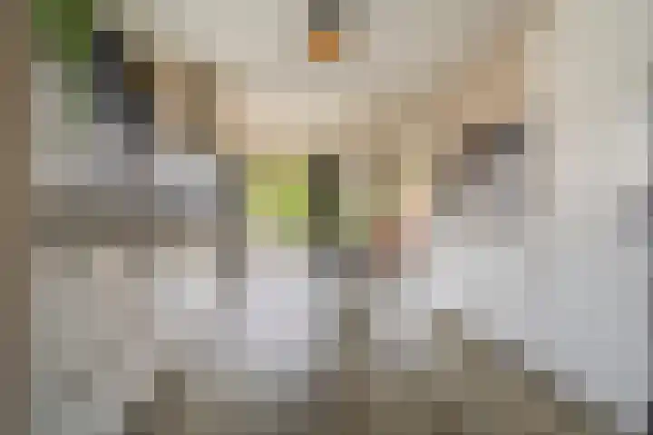Dillenburglaan 30 Heiligerlee thumbnail 24