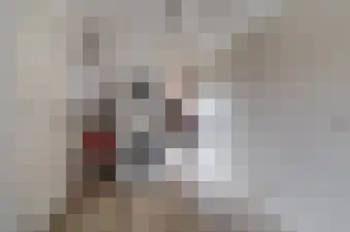 Dillenburglaan 30 Heiligerlee thumbnail 39
