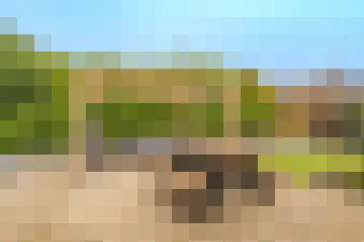 Dillenburglaan 30 Heiligerlee thumbnail 47