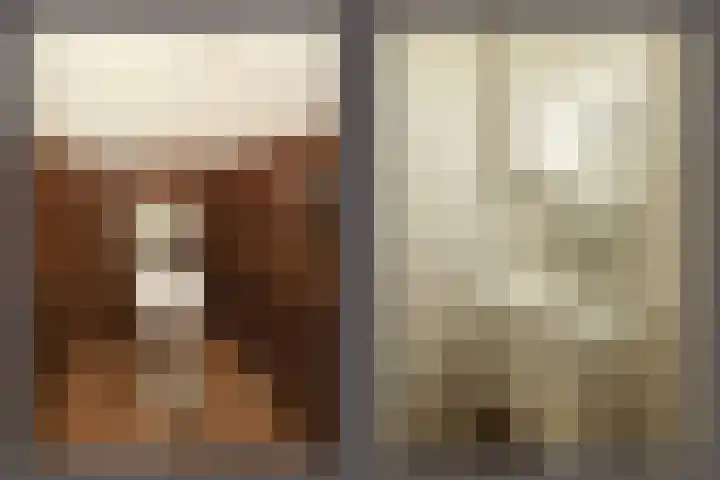 Dillenburglaan 4 Velp thumbnail 19