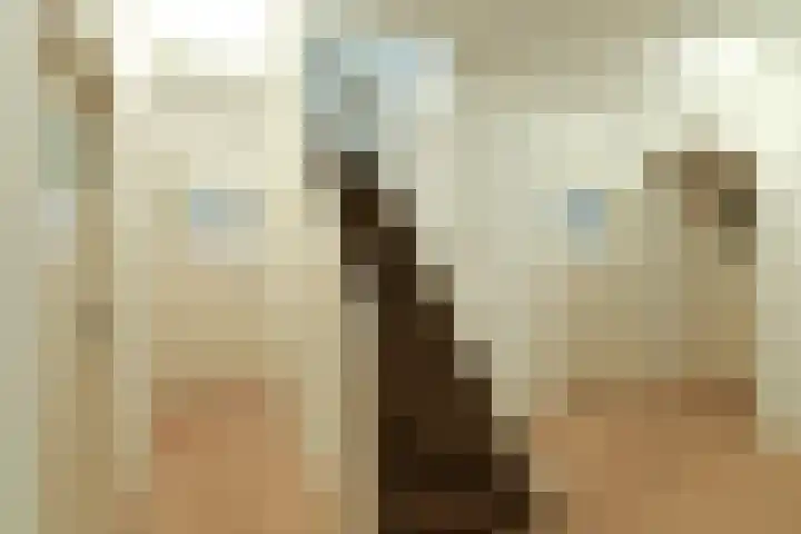 Dillenburglaan 4 Velp thumbnail 31