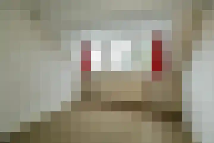 Dillenburglaan 4 Velp thumbnail 33