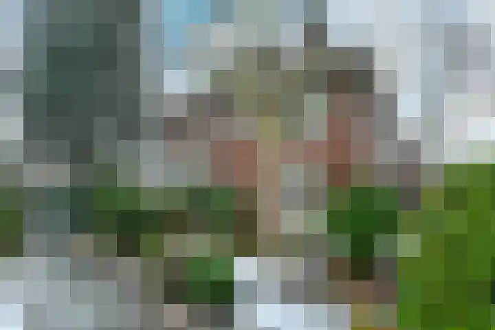Dillenburglaan 4 Velp thumbnail 39