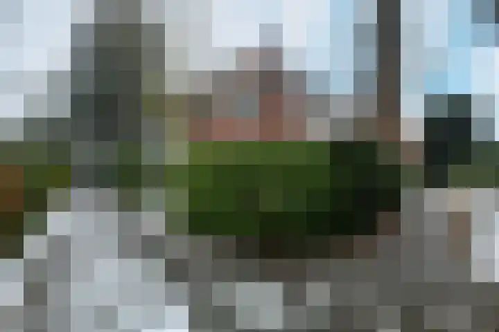 Dillenburglaan 4 Velp thumbnail 4