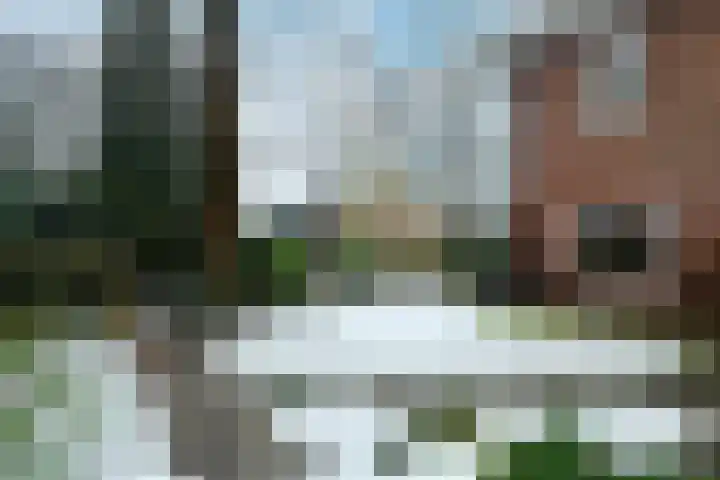 Dillenburglaan 4 Velp thumbnail 45