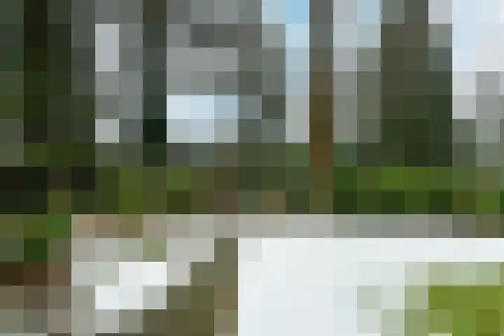 Dillenburglaan 4 Velp thumbnail 5