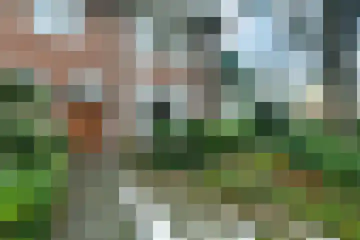 Dillenburglaan 4 Velp thumbnail 8
