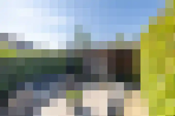 Dilleveld 17 Doetinchem thumbnail 16