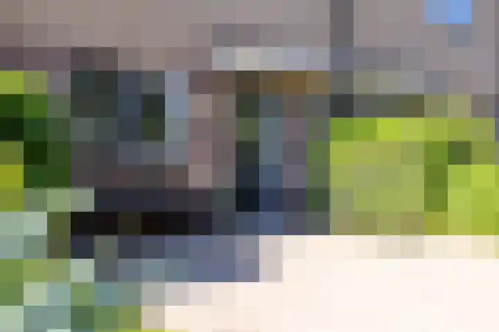 Dilleveld 17 Doetinchem thumbnail 21