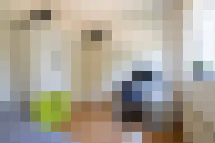 Dilleveld 17 Doetinchem thumbnail 26
