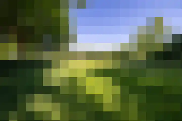 Dilleveld 17 Doetinchem thumbnail 39