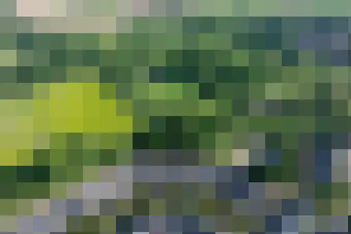 Dilleveld 17 Doetinchem thumbnail 42