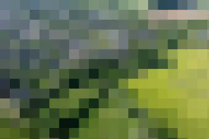 Dilleveld 17 Doetinchem thumbnail 43