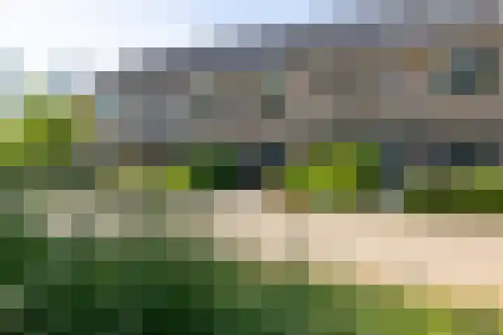 Dilleveld 17 Doetinchem thumbnail 44