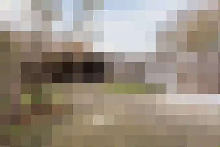 Dillingecamp 23 Emmen thumbnail 25