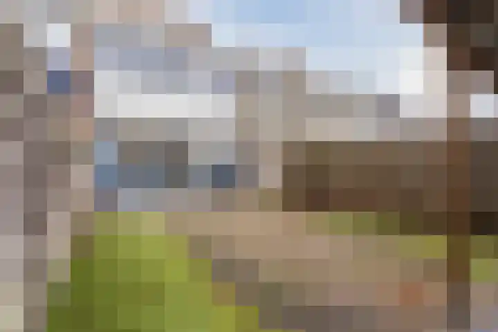 Dillingecamp 23 Emmen thumbnail 26