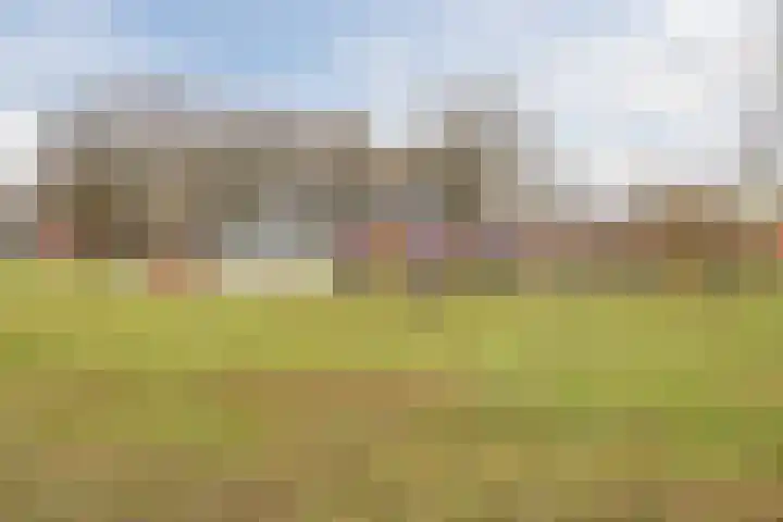 Dillingecamp 23 Emmen thumbnail 28